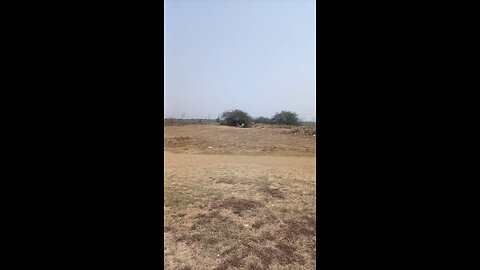 Temple run Brazil send in real life gems