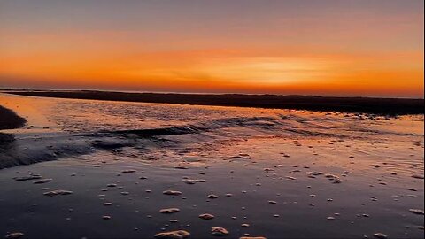 A purple pretty morning