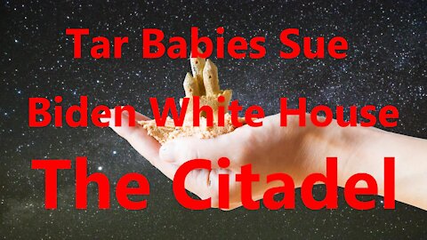 Tar Babies Sue Biden White House