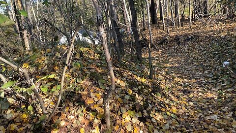 Mt View Snow Dump 10/3/2023