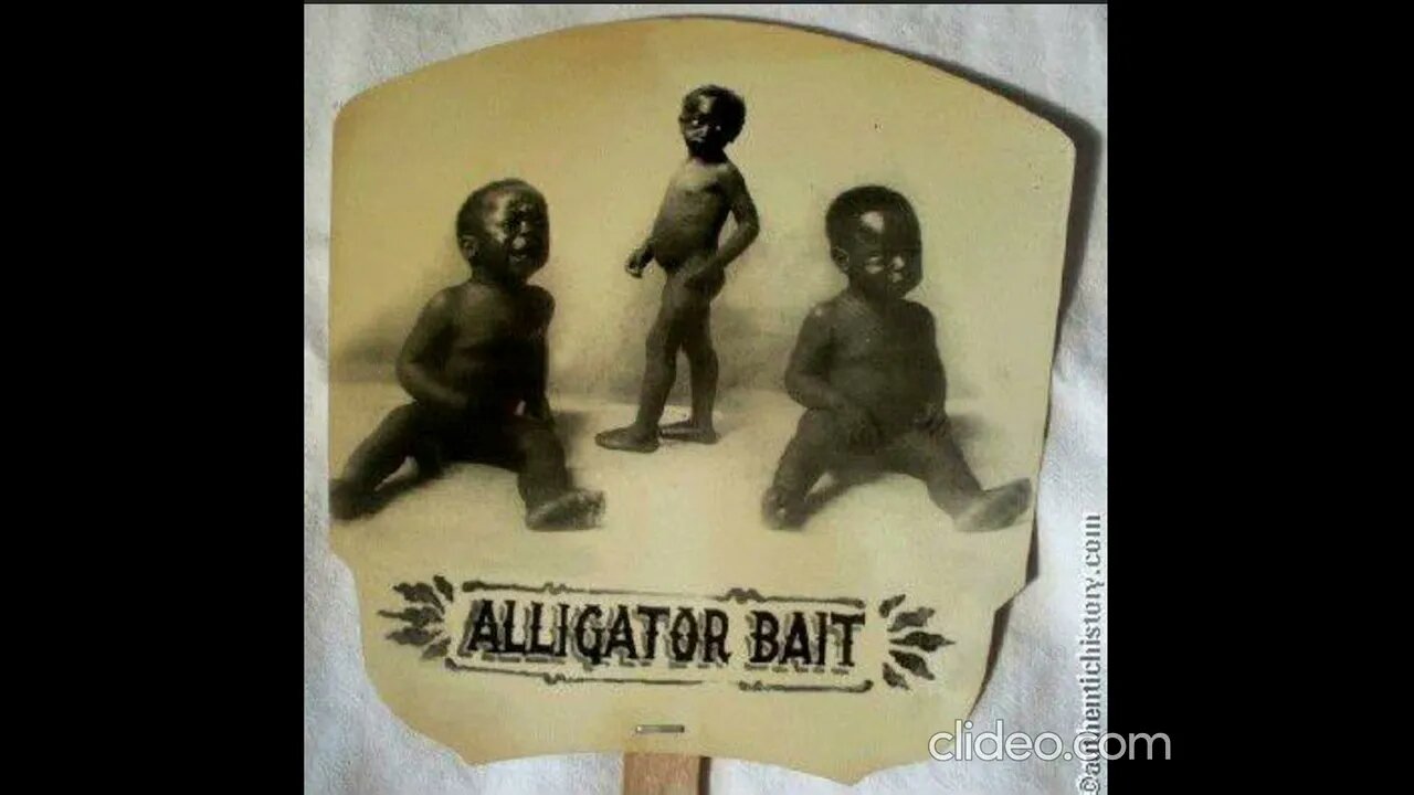 Babies As Gator Bait For Slavers #gator #bait #blackhistory #babies #slavers