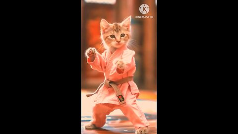 Quit cat masl art & cat interesting box #like follow