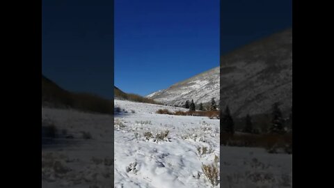 Sunny and snowy Colorado😎🥶