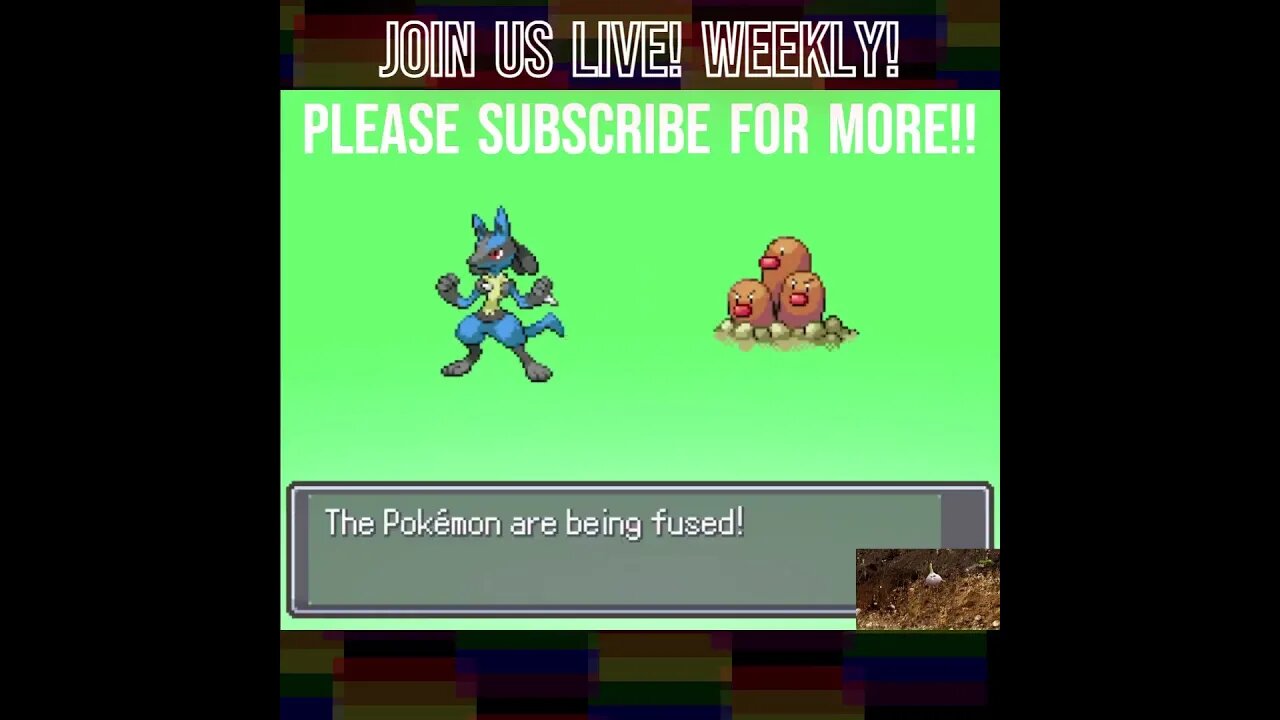 Unveiling the moles body? or Three head dog! Which is better? #subscribe #pokemon