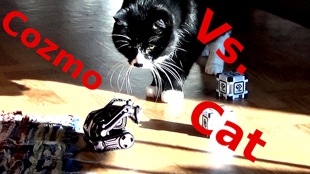 First Contact - Anki Cozmo ROBOT Meet My Cat