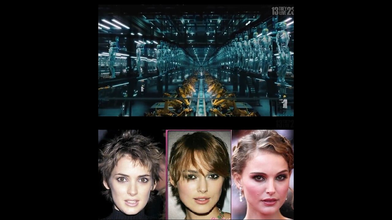 HOLLYWOOD STARS - CLONING LOOKALIKE FACTORY PART 1