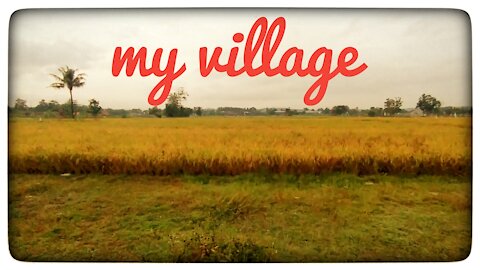 My village