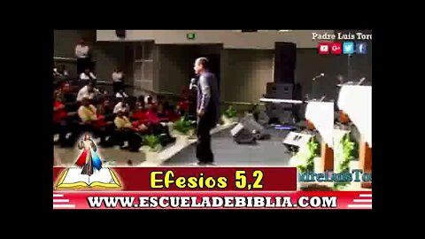 ¿Qué es pecado y cuáles son, según la Biblia? Padre Luis Toro.