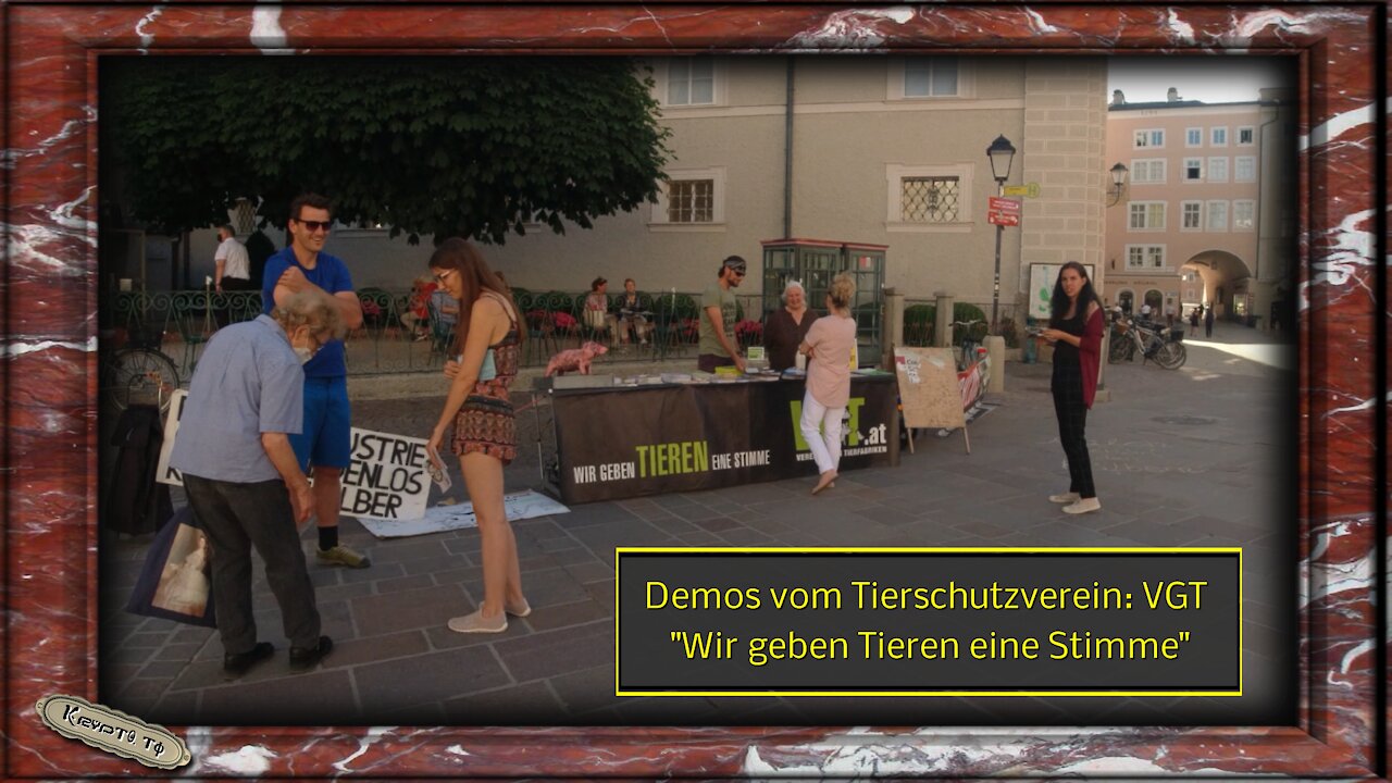 Demos vom Tierschutzverein: VGT - "Wir geben Tieren eine Stimme"