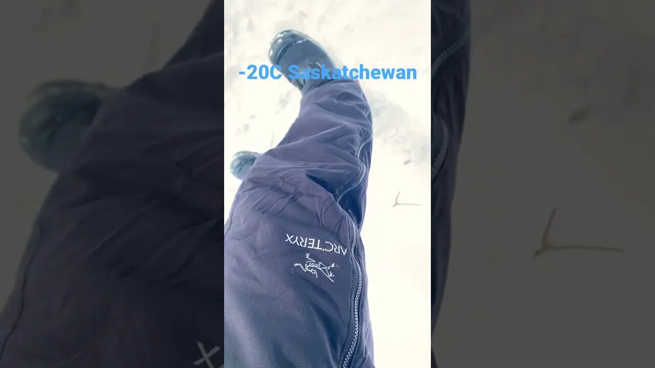 Arc’teryx COLD WX LT Jacket -dead bird in the wild!