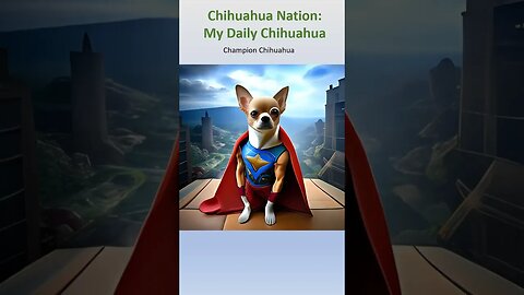 Superhero Champion Chihuahua. #shorts