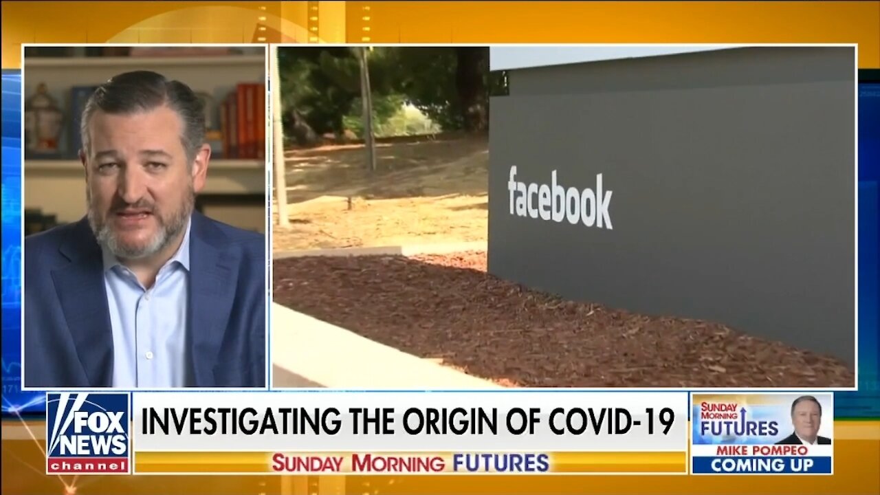 Cruz: Facebook Was Censoring COVID-19 Info On Behalf of the Government
