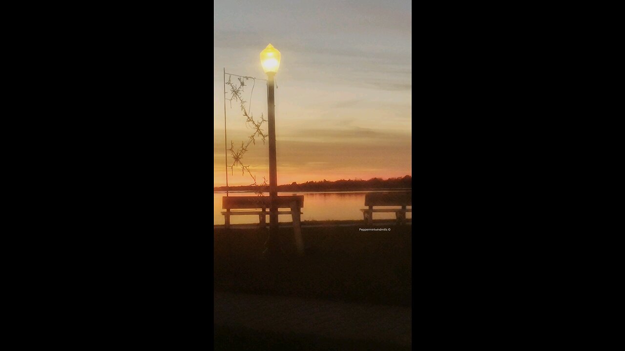 •Beautiful Sunset 🌇 overlooking the bay water 💦 ~