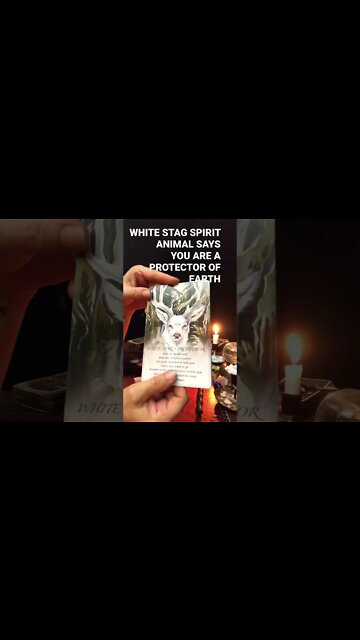 STAG ANIMAL SPIRIT GUIDE SAYs PROTECT EARTH🐬DOLPHIN SPIRIT GUIDE SAYS CELEBRATE PLAY IN GRATITUDE