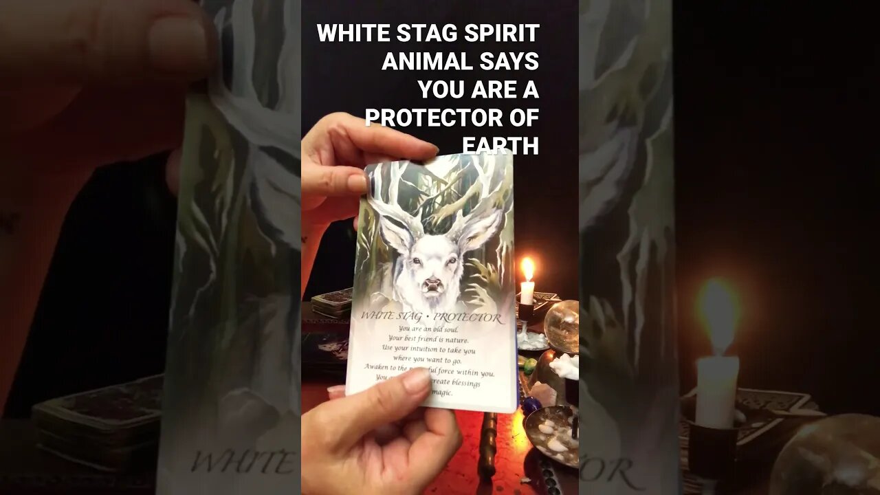 STAG ANIMAL SPIRIT GUIDE SAYs PROTECT EARTH🐬DOLPHIN SPIRIT GUIDE SAYS CELEBRATE PLAY IN GRATITUDE