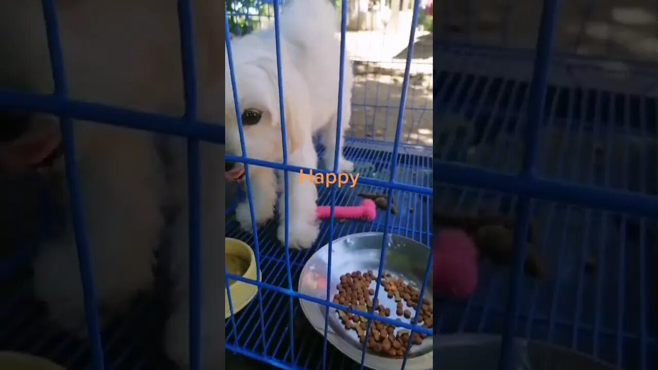 Happy @ @everyone #everyone