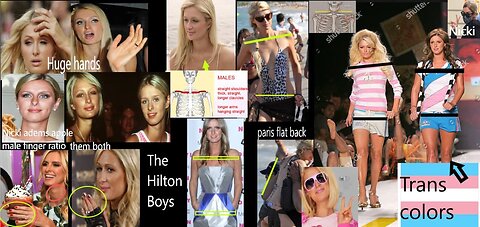 Mr Paris Hilton Exposed