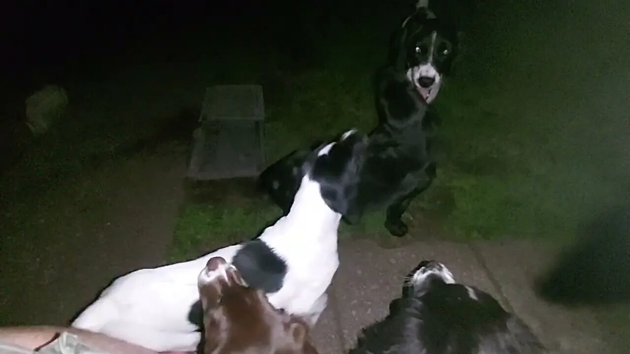 Playing In The Dark