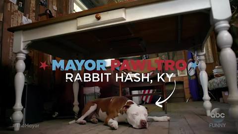 Another ABC commercial features Rabbit Hash's dog mayor