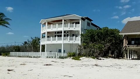 it's ALL SHELLS at this beach