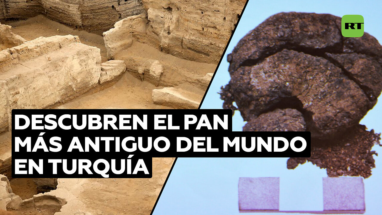 Descubren el “pan más antiguo del mundo”, de 8.600 años, en Turquía