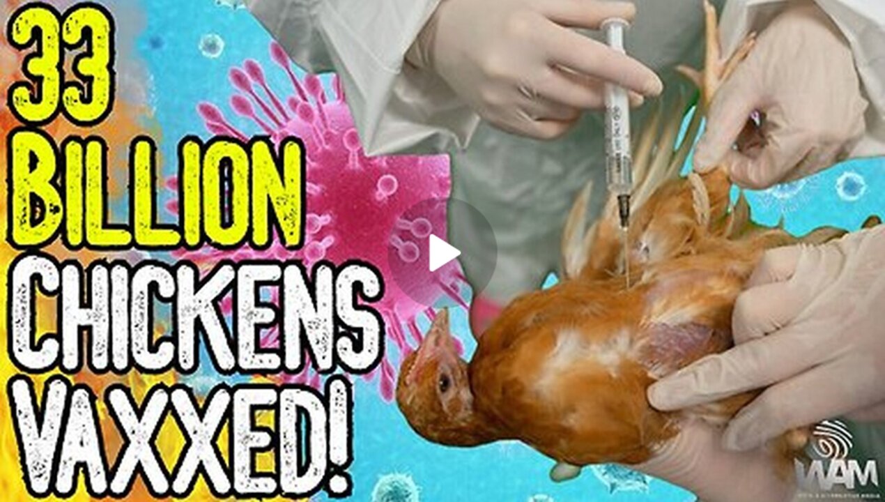 33 BILLION CHICKENS VAXXED! BIRD FLU HOAX - Avoid The Pharma Poisoned Food Supply