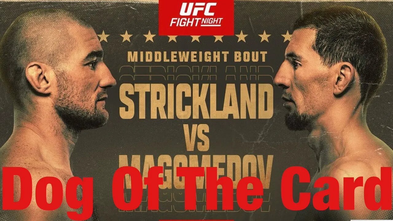 UFC Fight Night Strickland Vs Magomedov Underdog Of The Card!