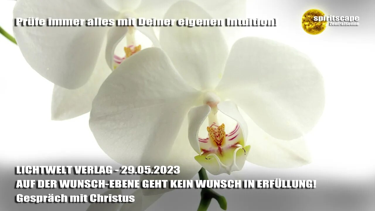 AUF DER WUNSCH-EBENE GEHT KEIN WUNSCH IN ERFÜLLUNG! - Gespräch mit Christus ~ LWV