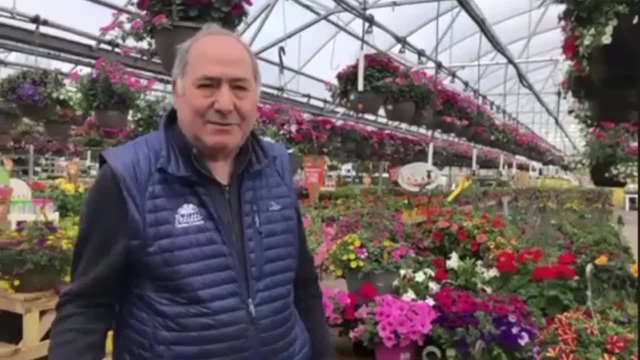 Summer Hanging Baskets