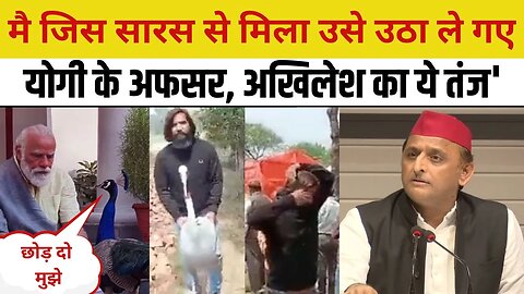 Akhilesh Yadav Aarif से Saras छीनने पर बोले- मेरे जाने से वो सारस उठा ले गए, Modi का मोर लेकर दिखाओ