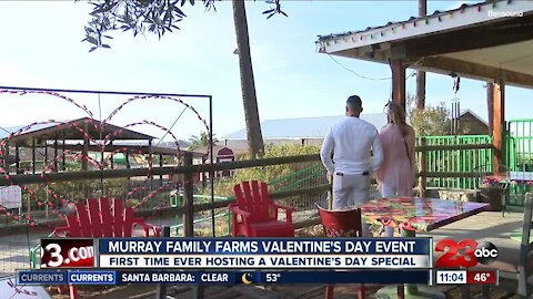 Murray family farms offers first ever Valentine’s Day event