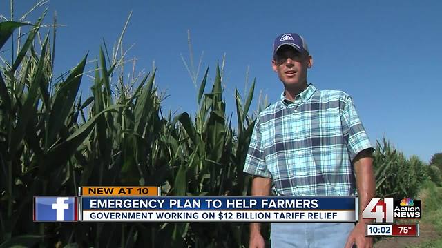 Local farmers affected by tariffs to get relief