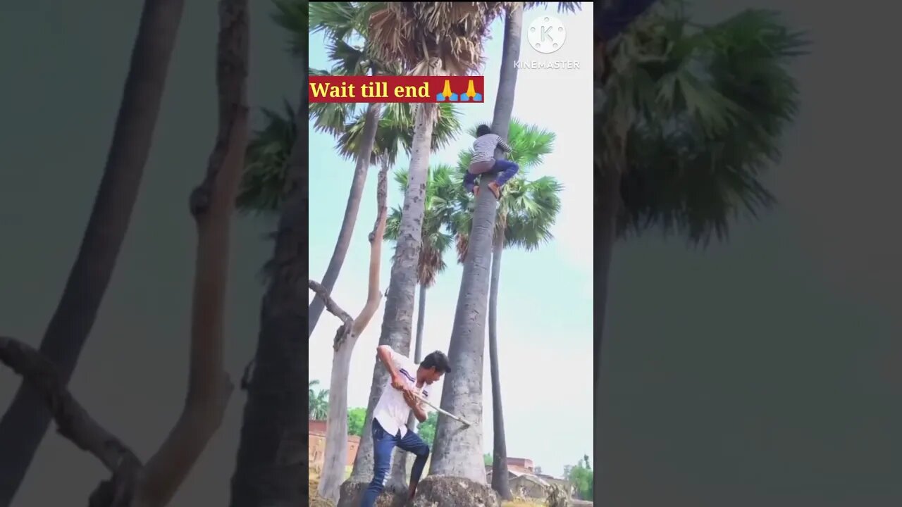 wait till end 🙏🙏 #shorts #funny