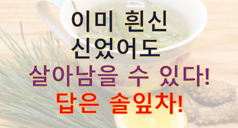 흰신맞고 살아남고 싶으면 '솔잎차, nac, 스라민'을 복용해야함.