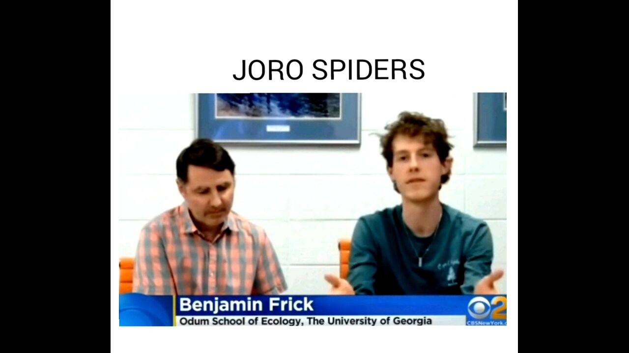 JORO SPIDER