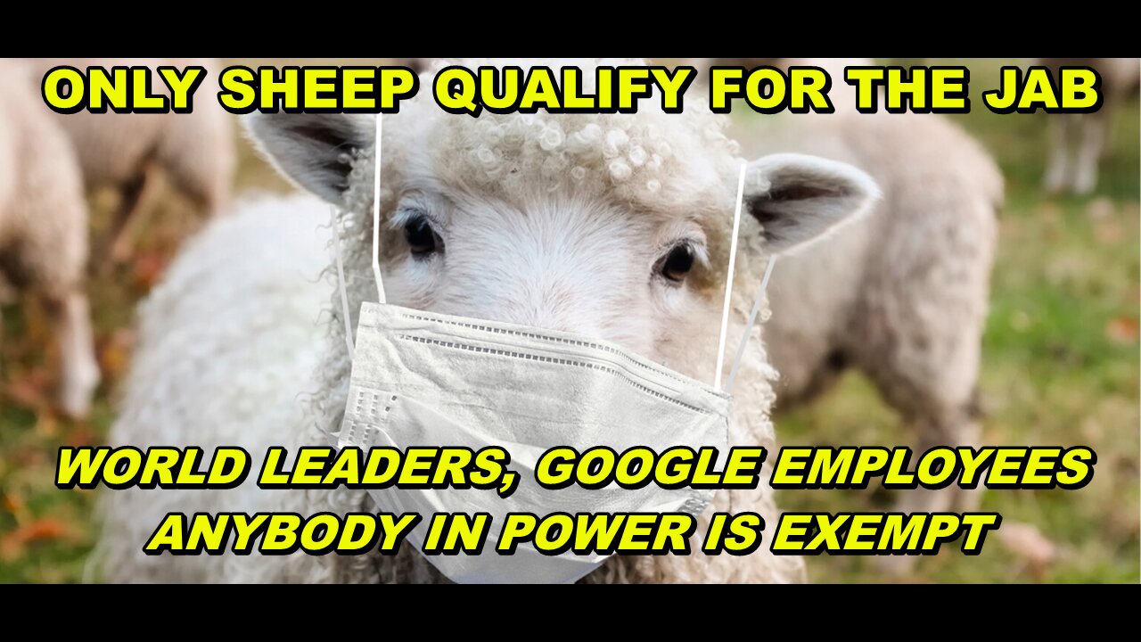 NO VAXX FOR GOOGLE EMPLOYEES, POLITICIAN OR ANY WORLD LEADER - ONLY SHEEP QUALIFY FOR THE JAB