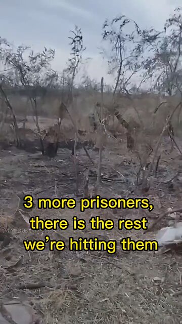 “Ok a new attack, bye.” — Battle Hardened Russian soldier at the Zaporozhia front