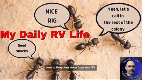Keep away Ants