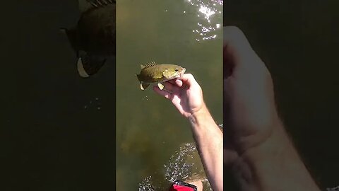 Fishing historic village in Ohio!