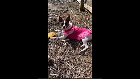 Princess snooper vises garden weeding