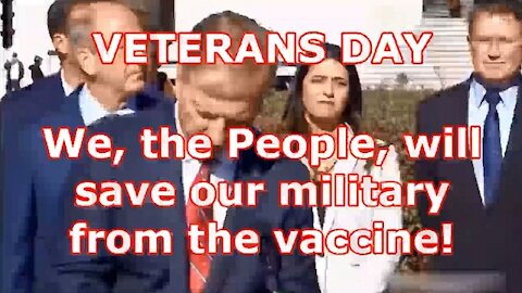 VETERANS DAY - We, the People, will save our military from the vaccine!