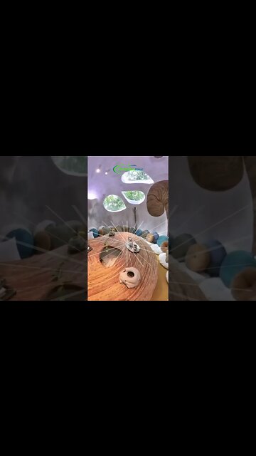 Summer 2023 Lookbook #shorts #summer #hairstyles #summerstyle #summerfashiontrends #summerfriday