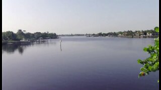 Project to begin to protect Mangrove Island on the Loxahatchee River