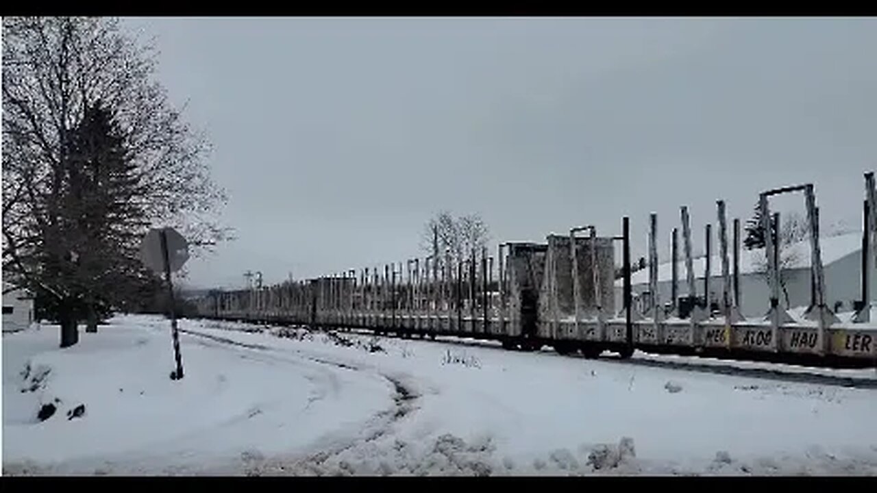 There Are Mega Mega-Log-Haulers On This Train! | Jason Asselin