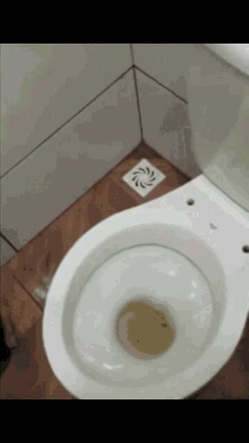 CARTEL NOW BRINGS ILLEGALS THROUGH THE SEWER SYSTEMS