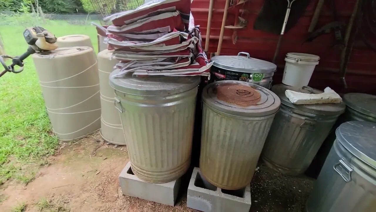 Raising Chickens for FREE. Almost anyway.