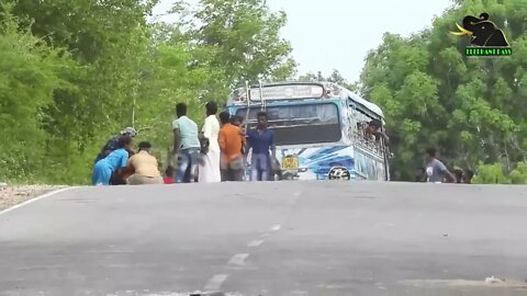 A severe elephant attack on a bus People fall down in fear 30