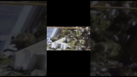 Если вдруг загрязнился водоем #short
