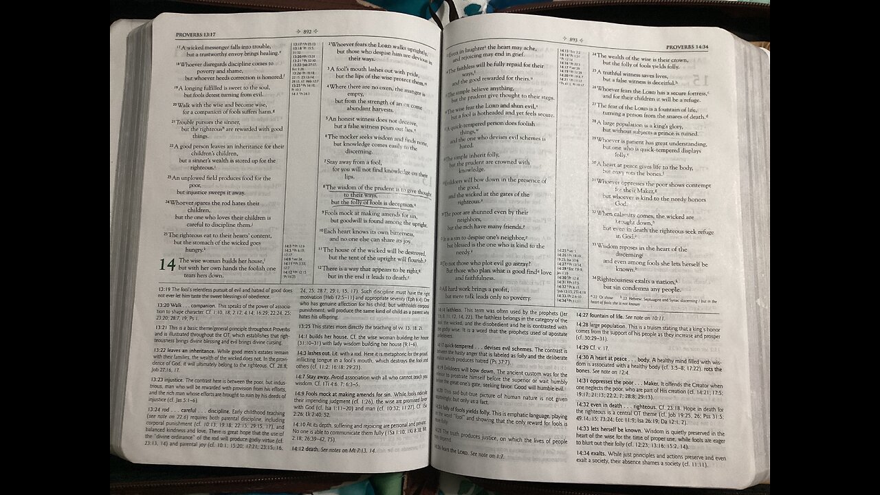 Proverbs 14