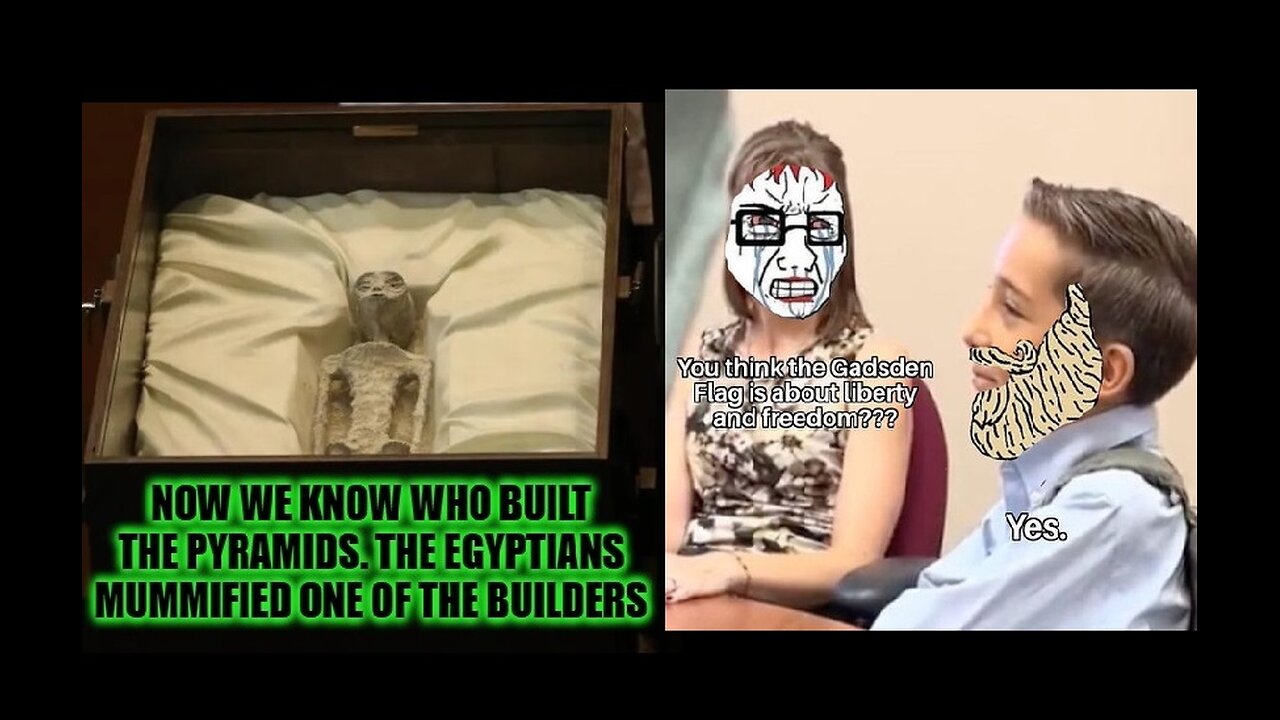 MEME REEL 50